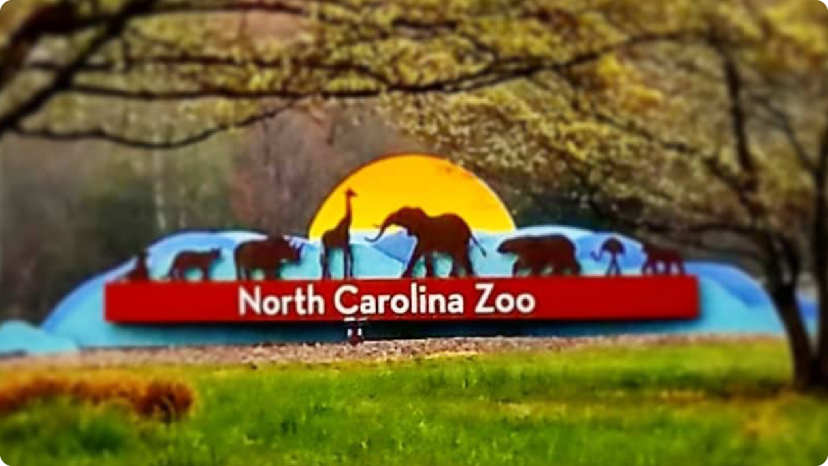 NC Zoo UI placeholder image