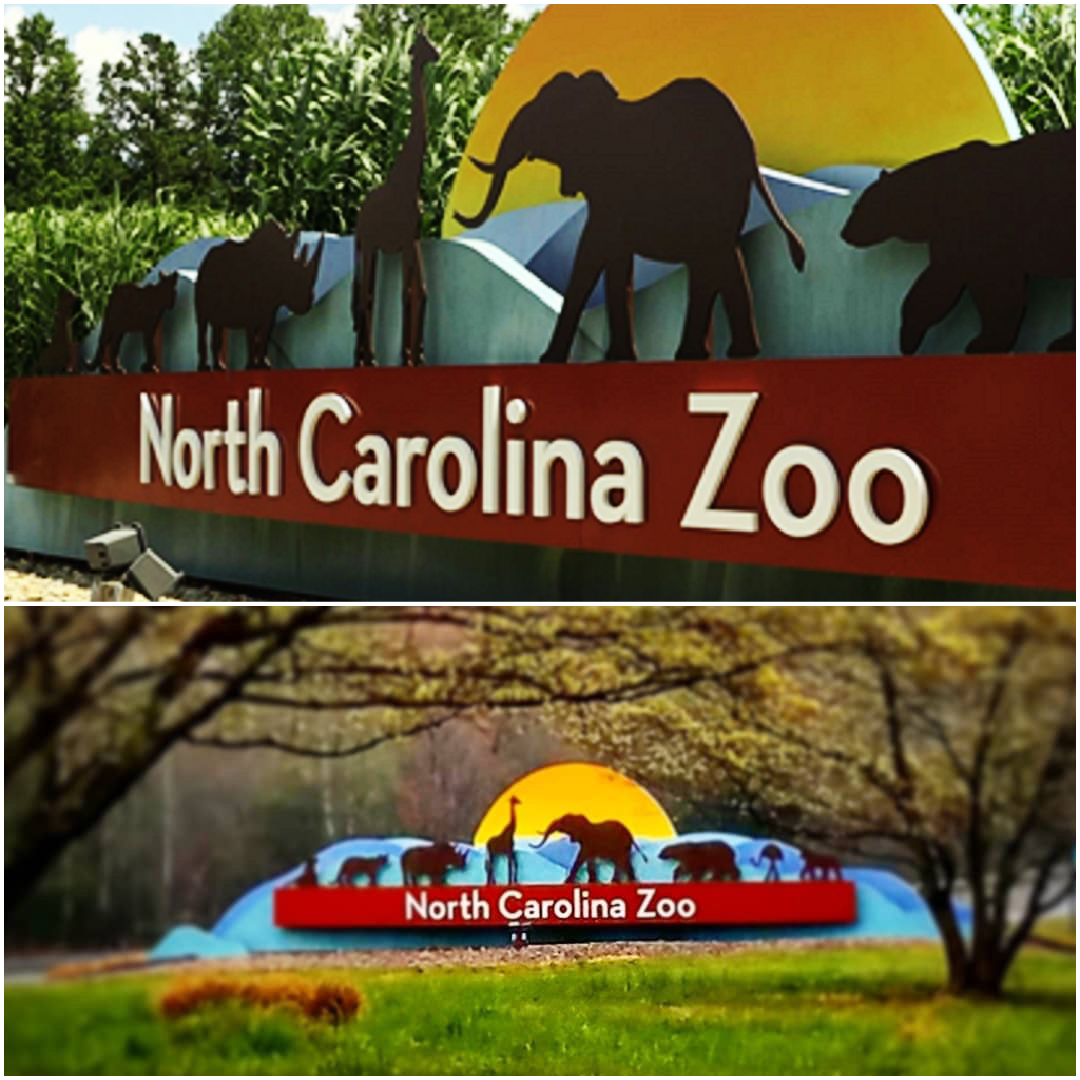 NC Zoo project image 1